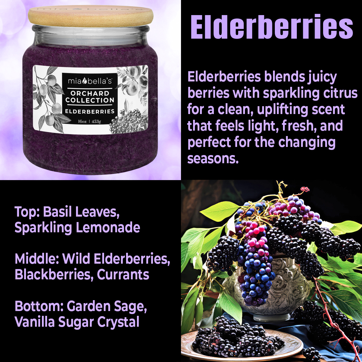 Mia Bella's Candle - Elderberries Fragrance